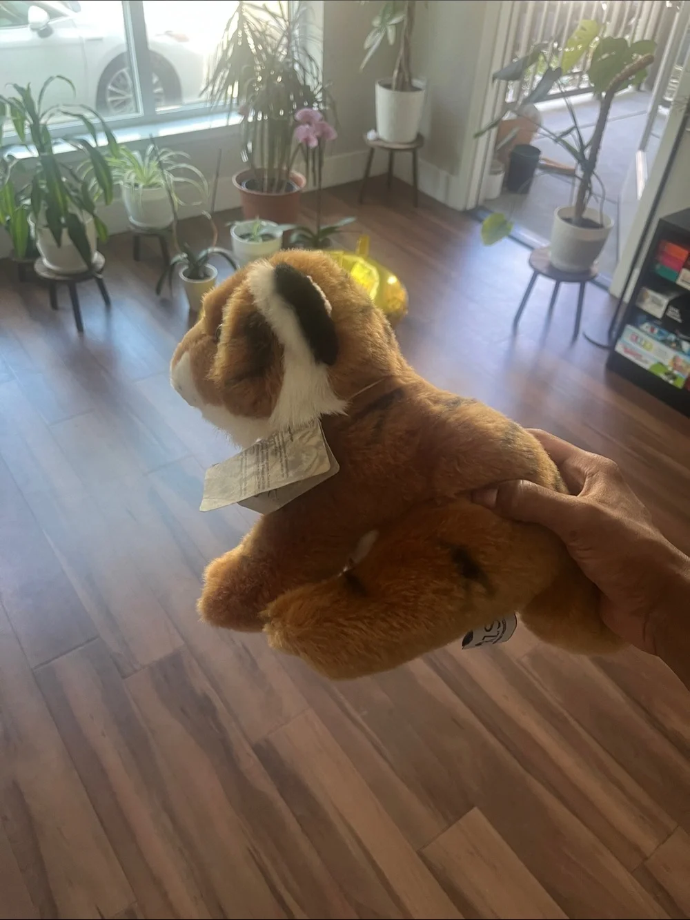 Brown Plush Dog Toy with Squeaker - Soft Puppy Plush